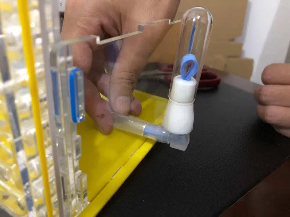 Vertical acrylic ant farm
