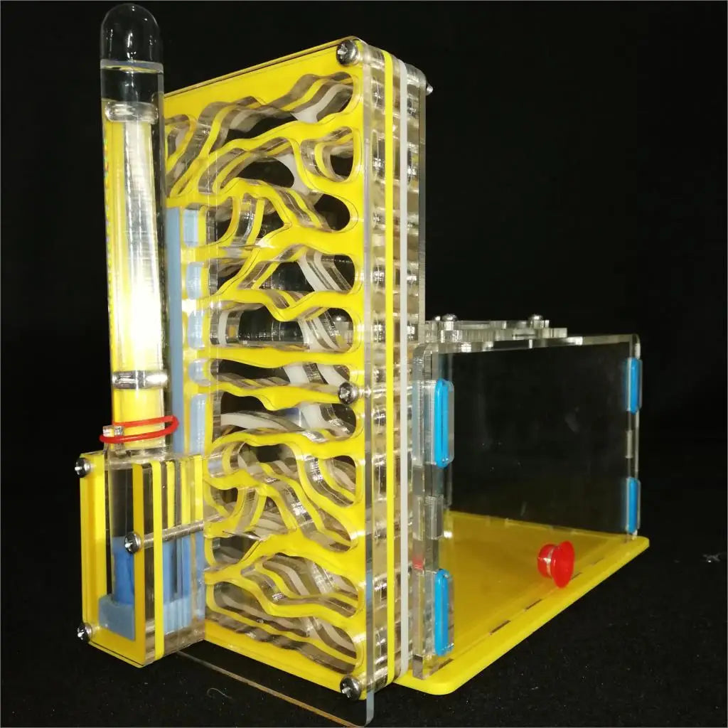 Hormiguero acrílico vertical