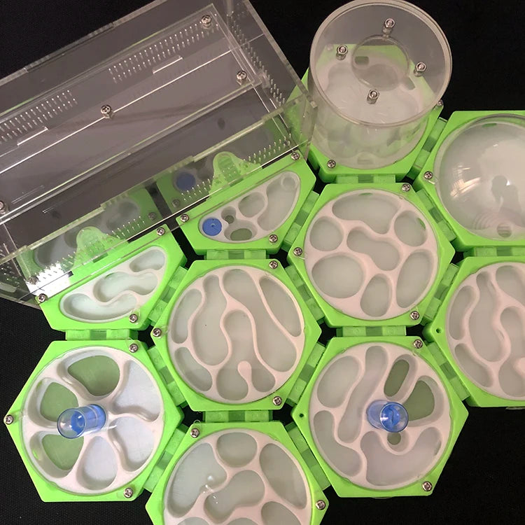 Modular ant farm