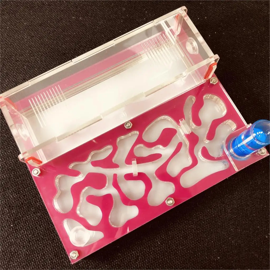 Hormiguero acrílico mediano