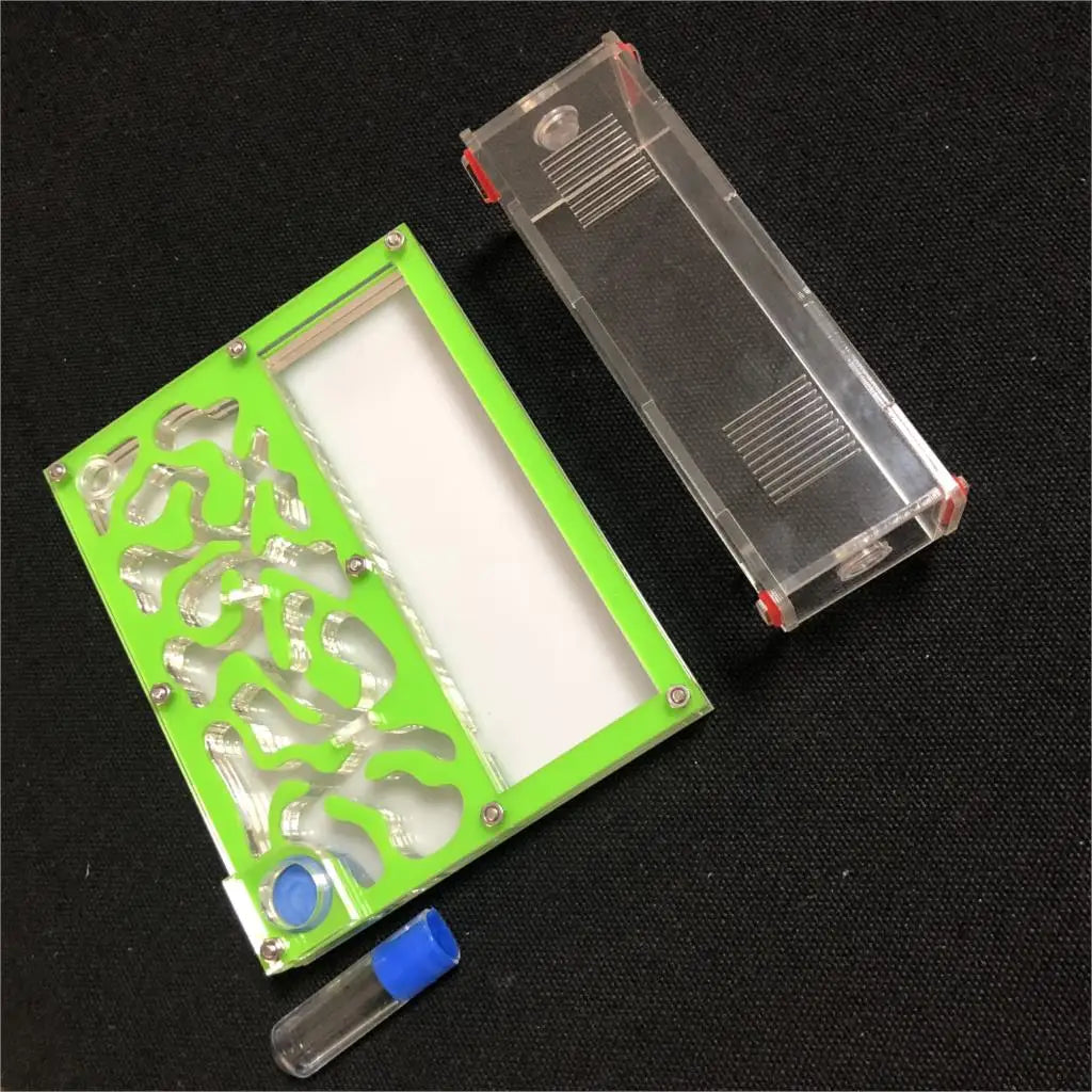 Hormiguero acrílico mediano