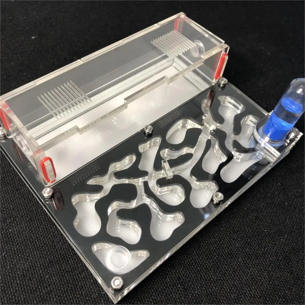 Hormiguero acrílico mediano