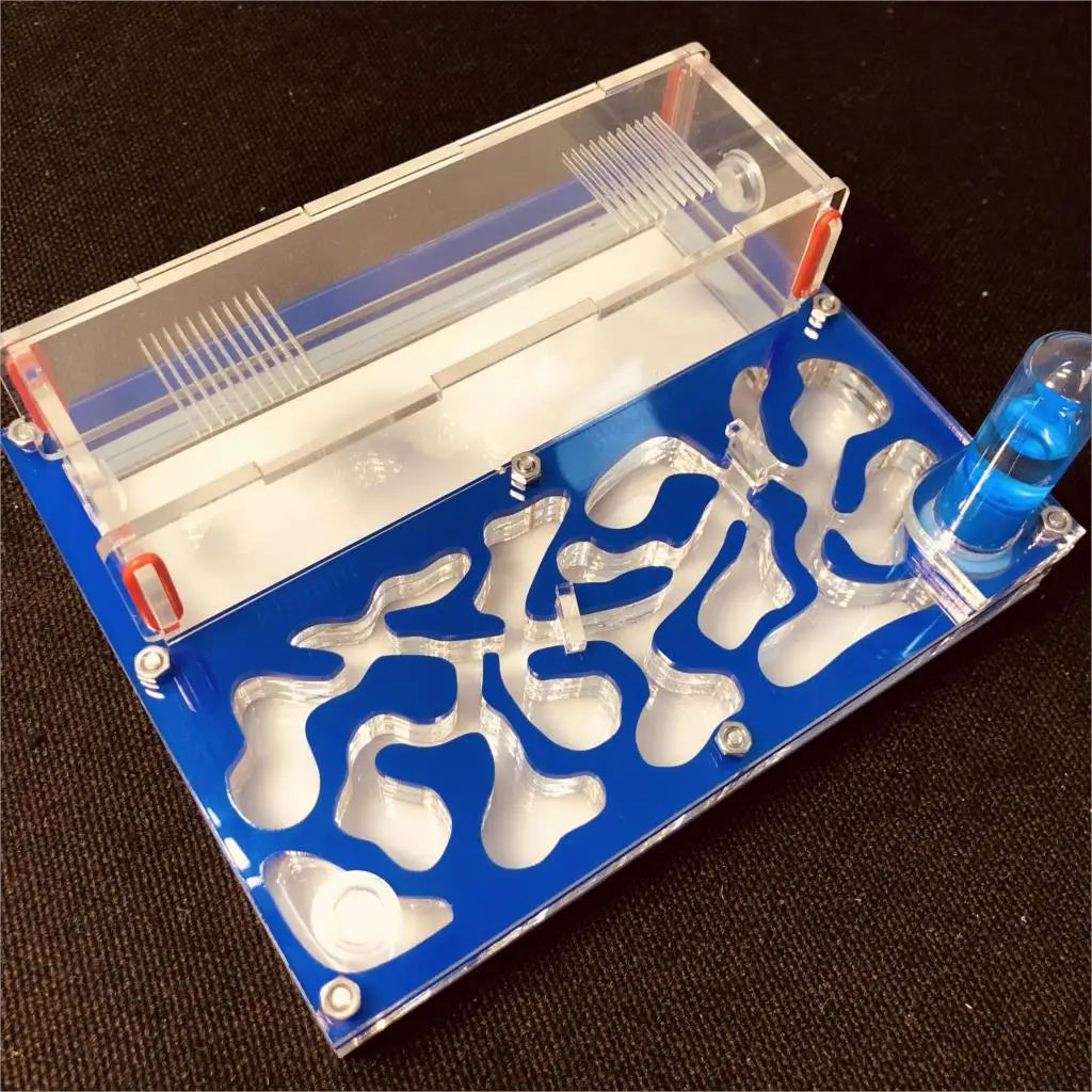 Hormiguero acrílico mediano