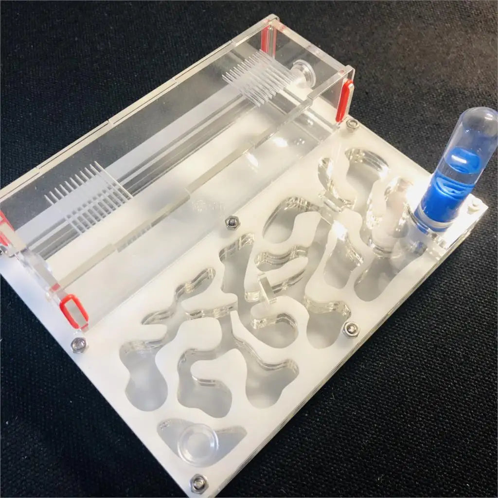 Hormiguero acrílico mediano