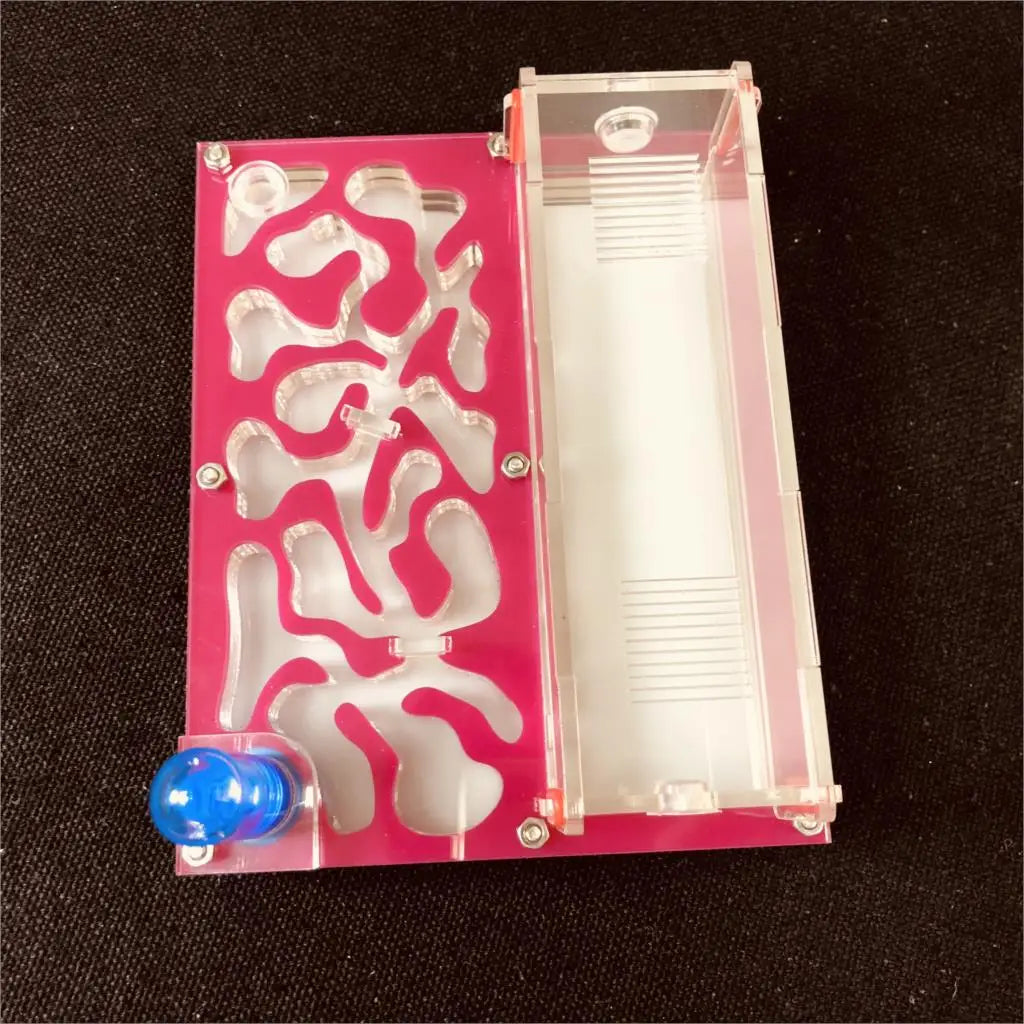 Hormiguero acrílico mediano