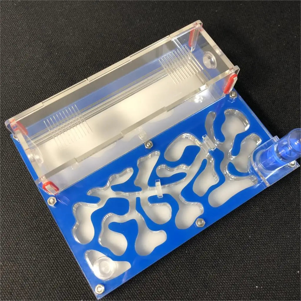 Hormiguero acrílico mediano